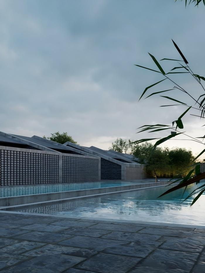 隐竹.禅境 -Hidden Bamboo 